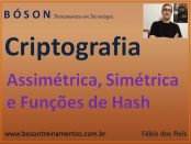 Criptografia Simétrica, Assimétrica e Funções de Hash
