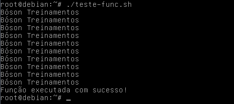 Criando uma função em shell script no linux