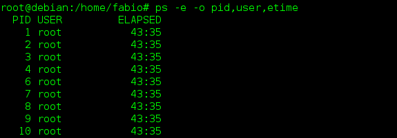 Mostra i processi in esecuzione in Linux con il comando ps