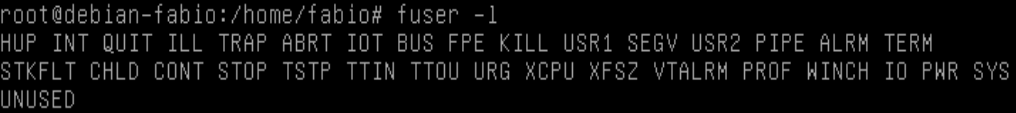 comando fuser no Linux - LPI 1