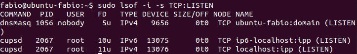 Comando lsof - Conexões TCP no Linux