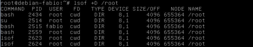 Comando lsof com diretório root no Linux