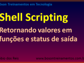 Shell Scripting no Linux - Retornando valores e status de funções