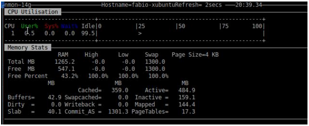 nmon - estatísticas de memória no Linux