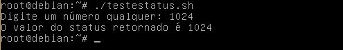 Usando saída de função em Shell Scripting - Linux