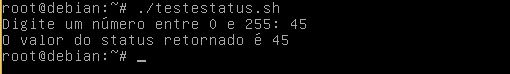 Status de saída com função return no Linux