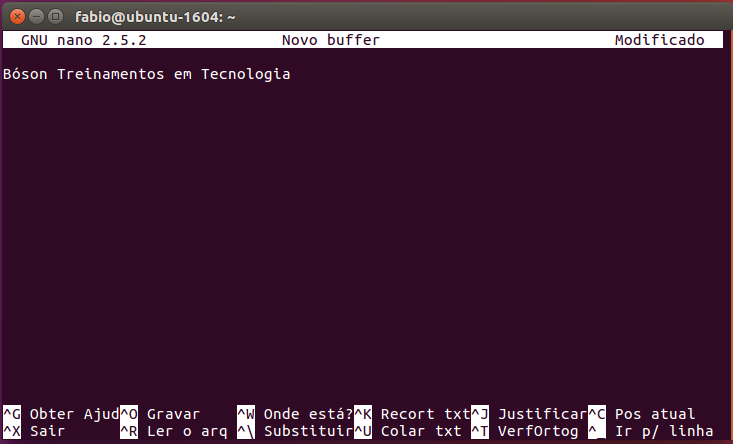 Tela do editor de textos GNU nano com um arquivo novo aberto no Linux
