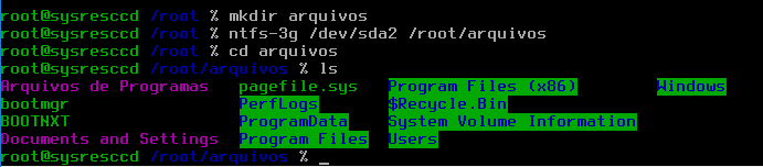Sistema NTFS montado com permissões de leitura e gravação no Linux