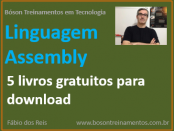 5 livros grátis de linguagem assembly