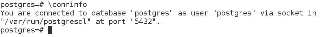 Conexão ao postgres comando conninfo