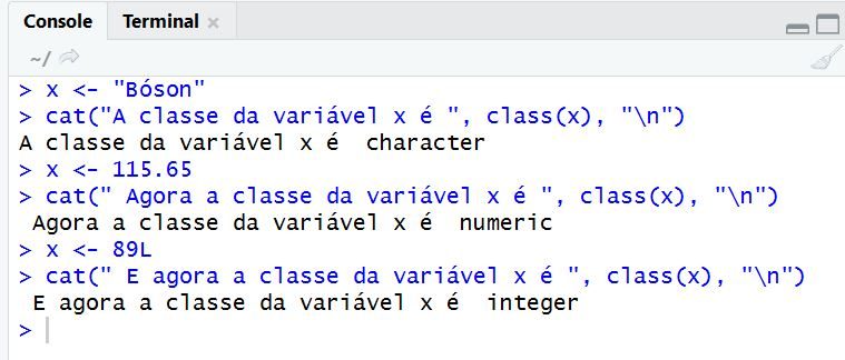 Variáveis em Linguagem R