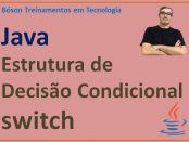 Estrutura de decisão condicional switch em Java