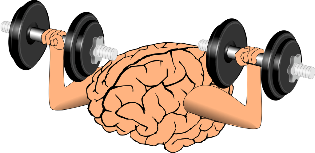 Exercitando o cérebro para melhorar a memória e a concentração
