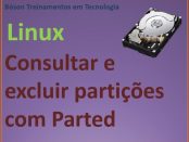 Verificar e excluir partições com parted no Linux