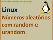 Gerar Números aleatórios no Linux com random e urandom