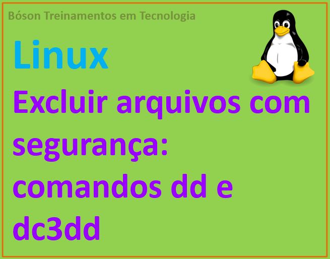 Como faço para excluir pasta root - Linux - Diolinux Plus