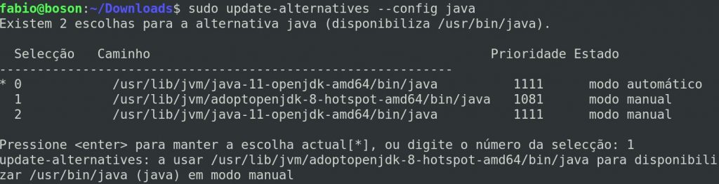 Escolher JVM para openJDK no linux Debian