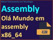 Programa olá mundo em assembly x86_64 para Linux