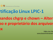 Certificação Linux LPI 1 - Comandos chgrp e chown