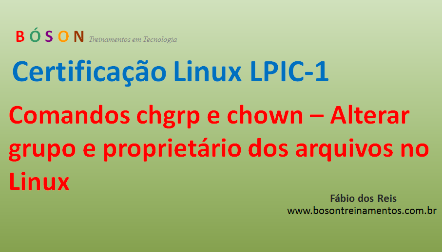 Certificação Linux LPI 1 - Comandos chgrp e chown