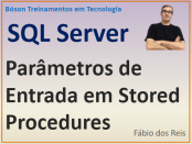 Parâmetros de entrada em procedimentos armazenados no SQL Server