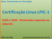 SUID e SGID - permissões no Linux LPIC 1