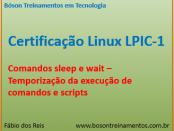 Comandos sleep e wait no Linux LPI
