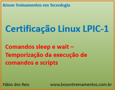 Comandos sleep e wait no Linux LPI