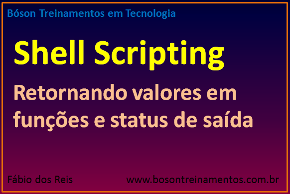 Shell Scripting no Linux - Retornando valores e status de funções