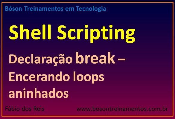 Declaração break em loops aninhados - Shell Script
