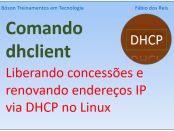 Comando dhclient no Linux - liberando concessões DHCP