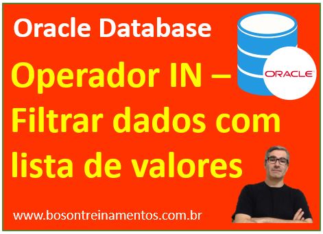 Filtrar consultas com lista de valores e operador IN