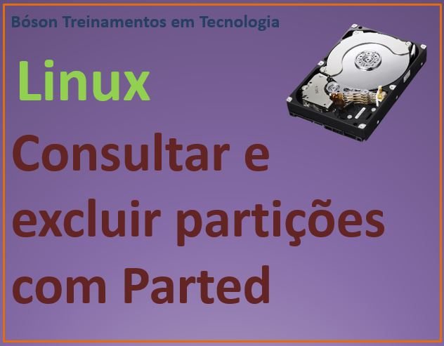 Verificar e excluir partições com parted no Linux