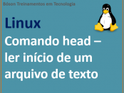 Ler linhas iniciais de um arquivo de texto no linux com comando head