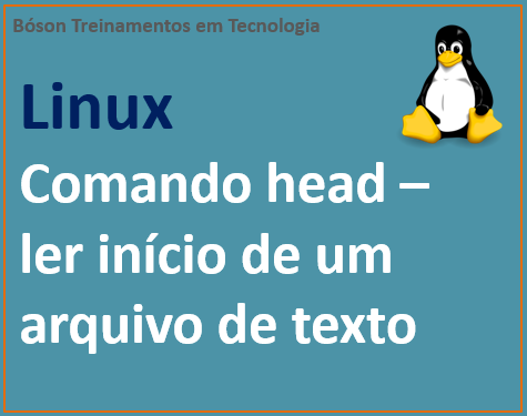 Ler linhas iniciais de um arquivo de texto no linux com comando head