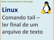 Ler linhas finais de um arquivo de texto no linux com comando tail