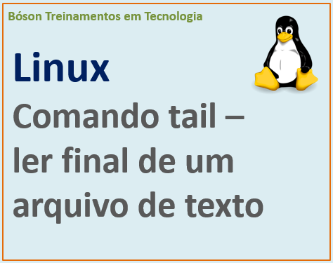 Ler linhas finais de um arquivo de texto no linux com comando tail
