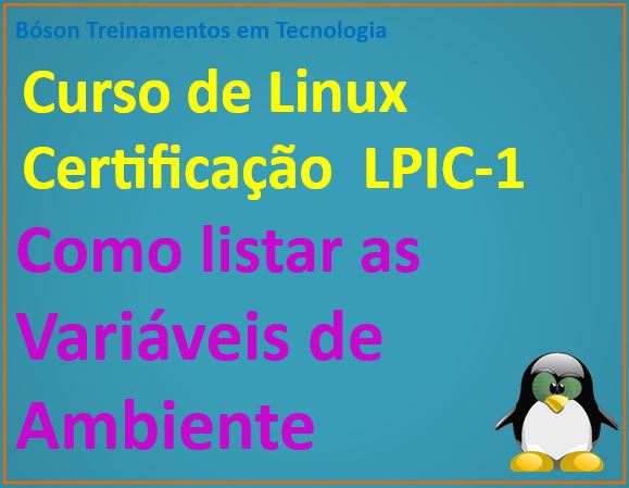 Como listar variáveis de ambiente e variáveis de shell no Linux
