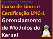 Gerenciamento de módulos do Kernel do Linux