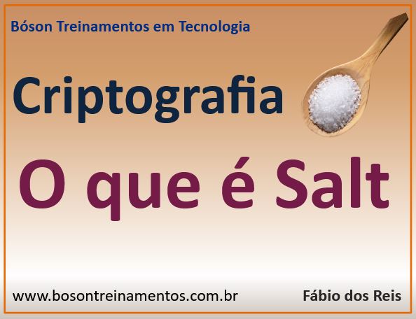O que é salt em criptografia