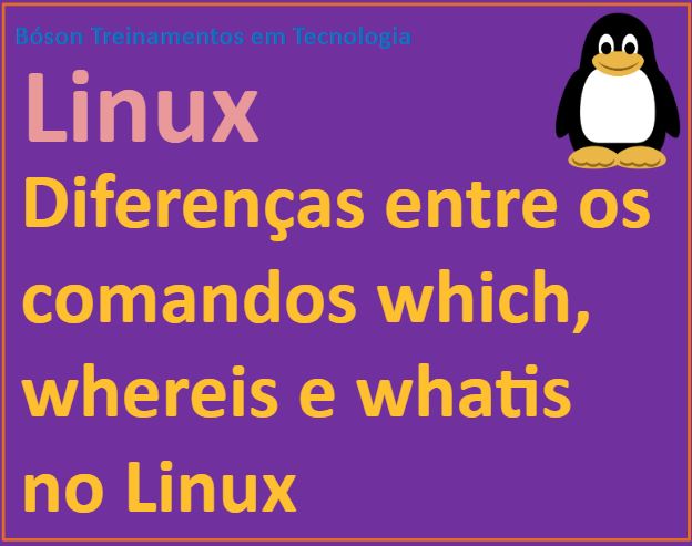 Diferença entre os comandos which whereis e whatis no Linux