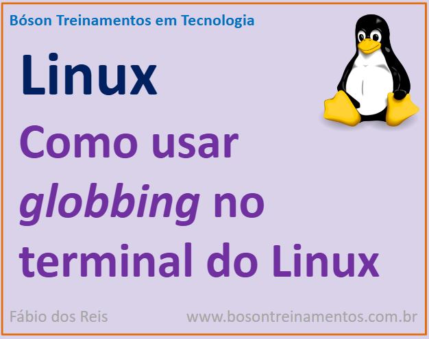 Como usar globbing e metacaracteres no Linux