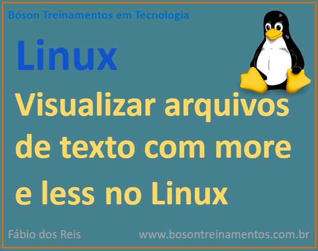 Como ver arquivos de texto no terminal com less e more no Linux